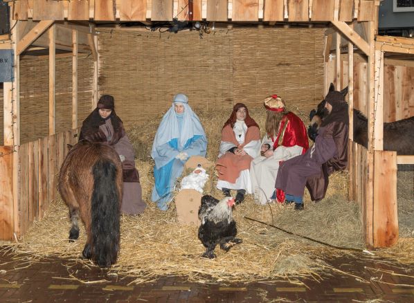 Levende Kerststal met volledige bezetting en pony en kip